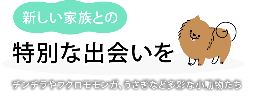 愛情込めて育てた動物を紹介