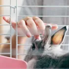 お迎えにあたって