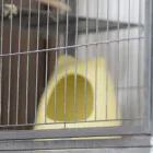 プライバシーポリシー